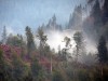 O 2013_Schwarzwald 2